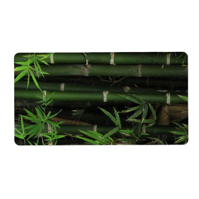 Bamboo ... Fao Rai, Nong Khai, Isaan, Thailand (Front)