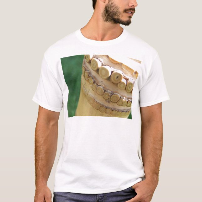 Bamboo Flute T-Shirt (Front)