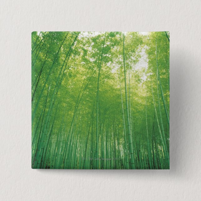 Bamboo Forest 2 15 Cm Square Badge (Front)