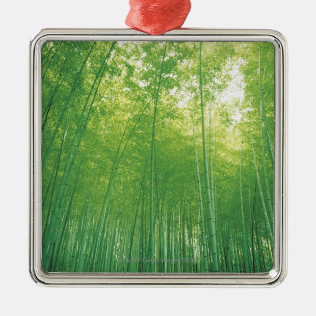 Bamboo Forest 2 Metal Tree Decoration (Front)