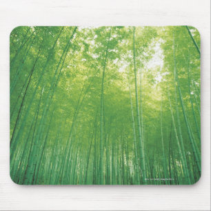 Bamboo Forest 2 Mouse Pad