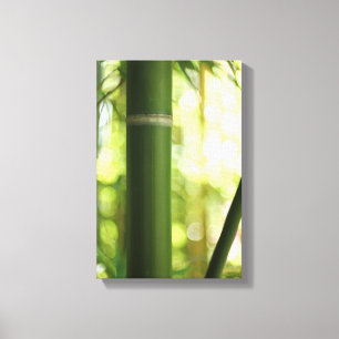 Bamboo Forest (Canvas) Canvas Print