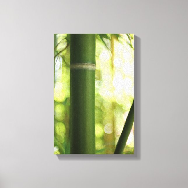 Bamboo Forest (Canvas) Canvas Print (Front)