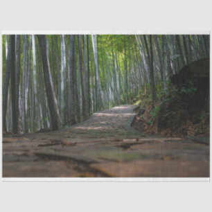 Bamboo Forest Decoupage 12 Background Tissue Paper