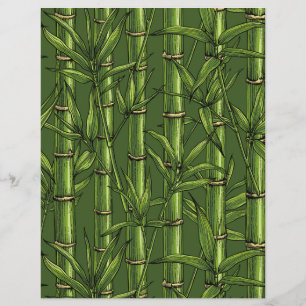 Bamboo forest in green