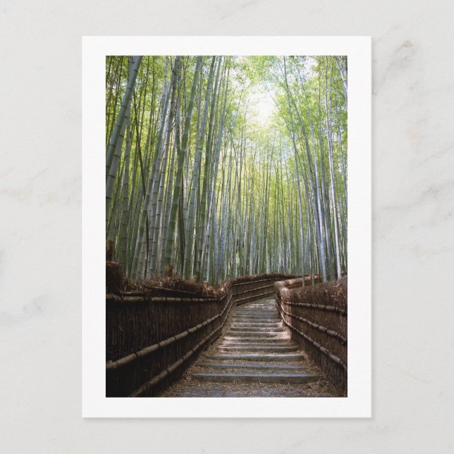 Bamboo Forest Path: Sagano, Kyoto Postcard (Front)