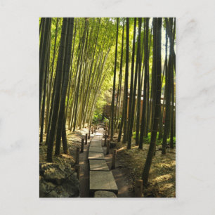 Bamboo Forest Postcard