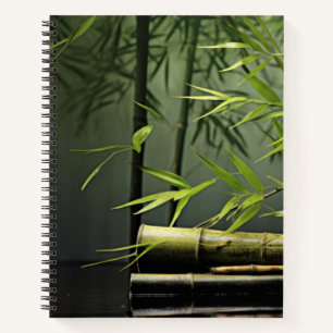 Bamboo Forest Tranquil Peaceful Nature  Notebook