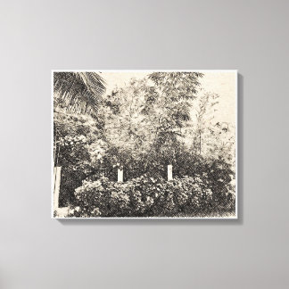 Bamboo Groove Canvas Print