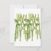 Bamboo Group Stems