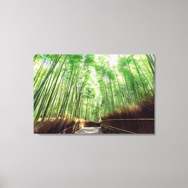 Bamboo Grove | Arashiyama, Kyoto, Japan Canvas Print (Front)