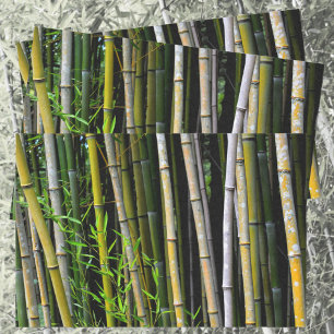 Bamboo Grove Natural Photographic Tissue Paper