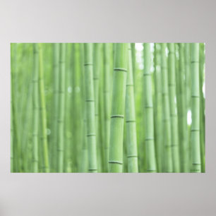 Bamboo Grove Poster