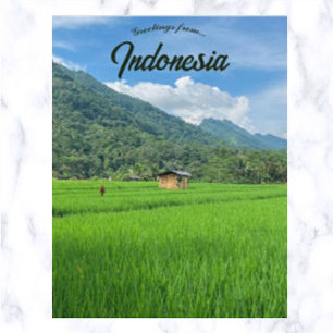 Bamboo Hut in a Rice Field in Indonesia Postcard