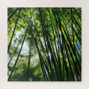 Bamboo jungle green foliage photo jigsaw puzzle