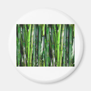 BAMBOO MAGNET