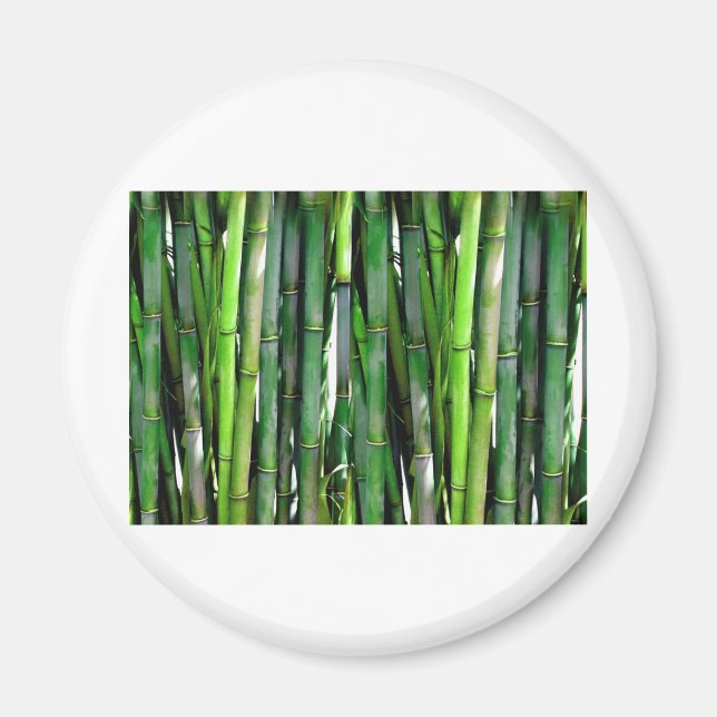 BAMBOO MAGNET (Front)