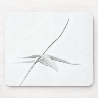 Bamboo - Mousepad