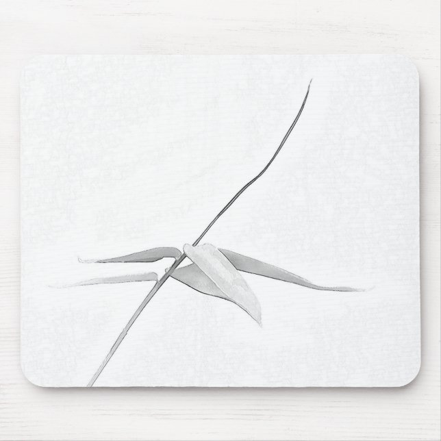 Bamboo - Mousepad (Front)
