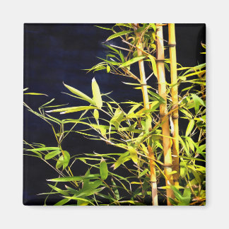 Bamboo On Black Magnet