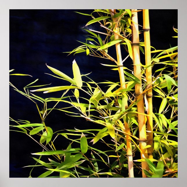 Bamboo On Black Poster (Front)