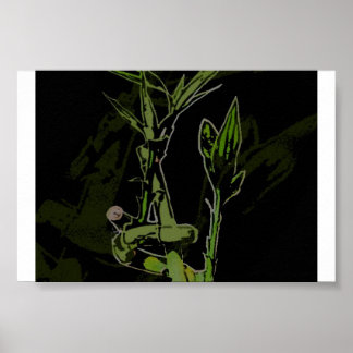 Bamboo Plant Poster