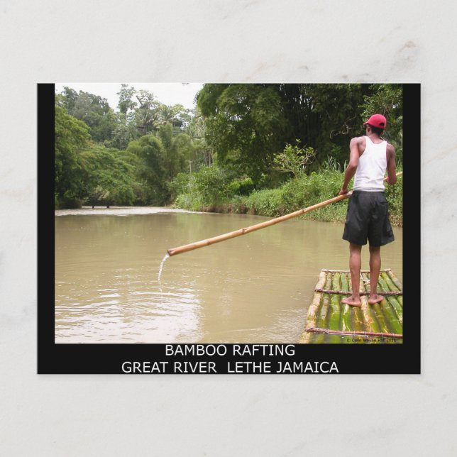 Bamboo Rafting Great River Lethe Jamaica Postcard (Front)