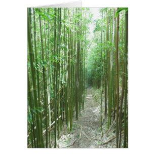 Bamboo Trail