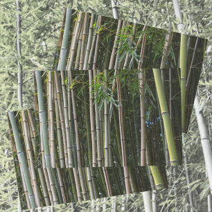 Bamboo Trees Grove Natural Photographic Tissue Paper