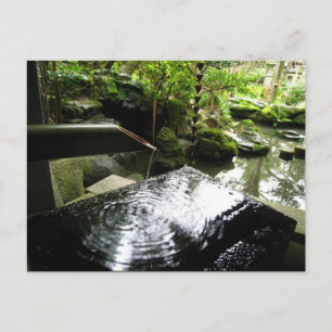 Bamboo Waterfall in Japan Postcard