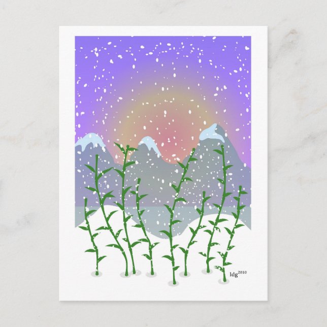 Bamboo Winter Postcard (Front)