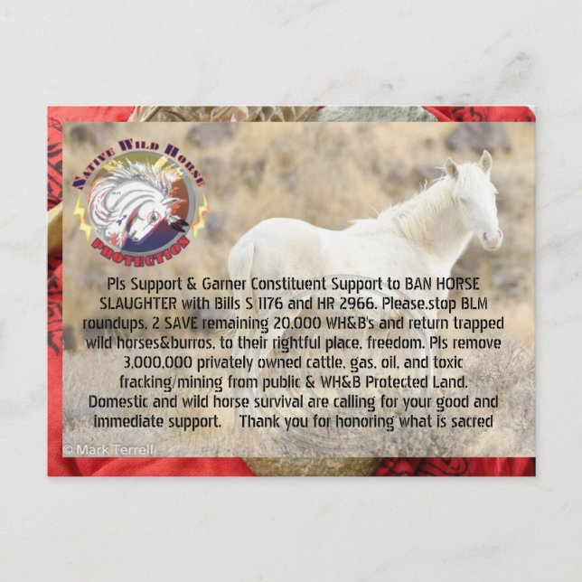 Ban Horse Slaughter and Save Wild Horses/ Burros Postcard (Front)