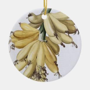 Banana, 1816 ceramic tree decoration