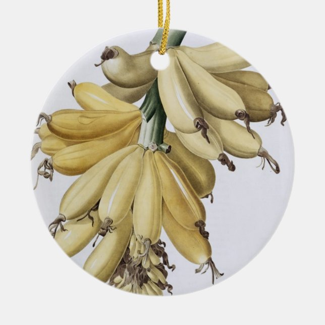 Banana, 1816 ceramic tree decoration (Front)