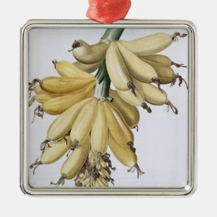 Banana, 1816 metal tree decoration