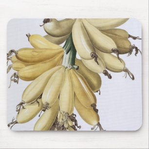 Banana, 1816 mouse pad