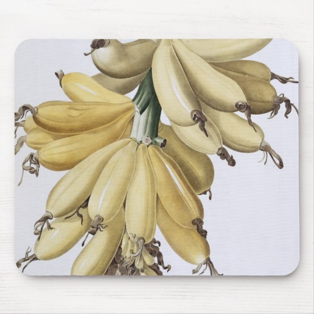 Banana, 1816 mouse pad (Front)
