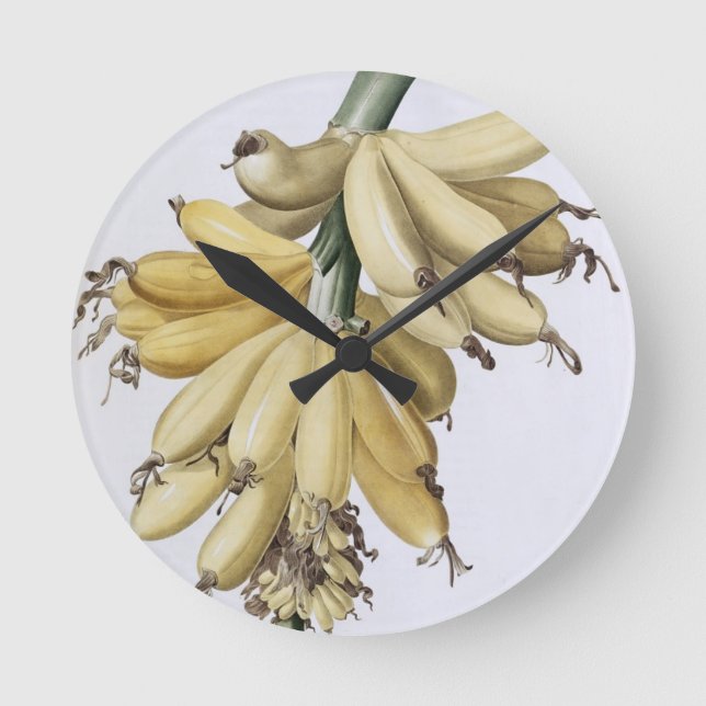 Banana, 1816 round clock (Front)