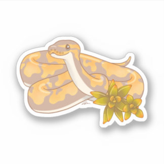 Banana Ball Python and Succulents Sticker
