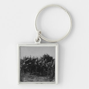 Banana Cultivation, Trinidad, c.1891 Key Ring