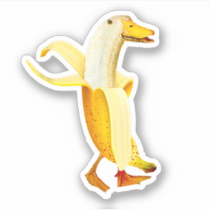 Banana Duck. Funny Anthropomorphic fruit Animals