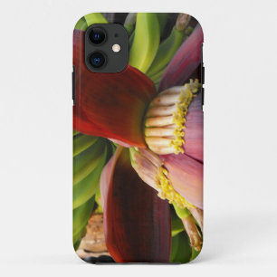 Banana Flower iPhone 11 Case
