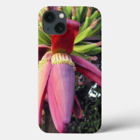 Banana Flower Closeup