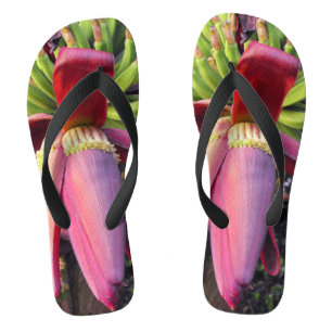 Banana Flower Closeup Jandals