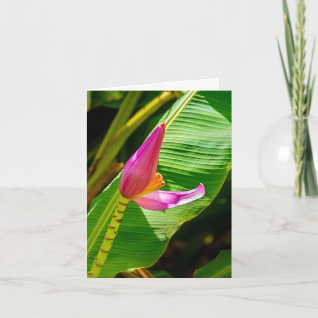 Banana Flower, Limahuli Gardens, Kauai  Note Card (Front)