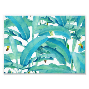 Banana Forest Photo Print