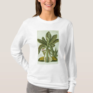 Banana, from J. Weinmann's Phytanthoza Iconographi T-Shirt