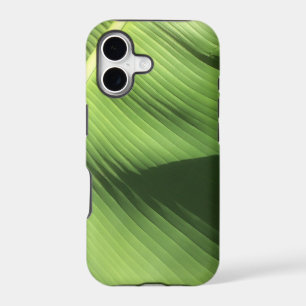 Banana Leaf