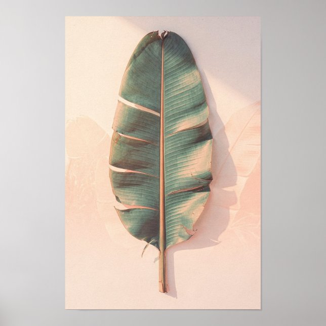 Banana Leaf Botanical Poster (Front)