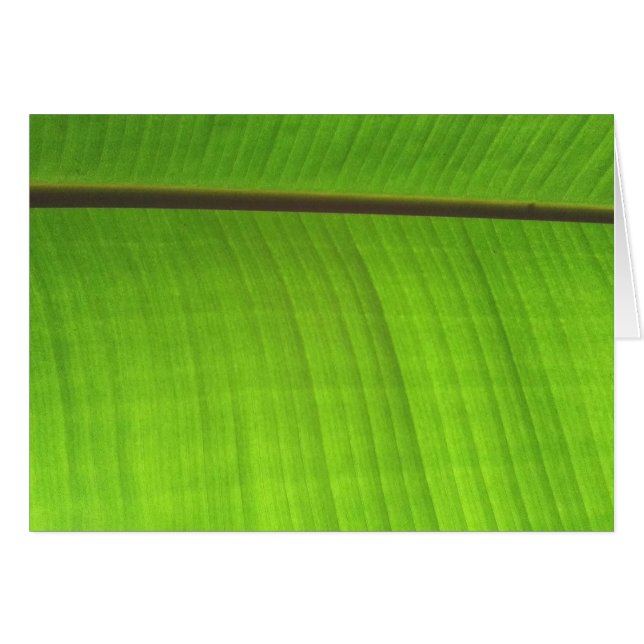 Banana Leaf Close-Up (Front Horizontal)